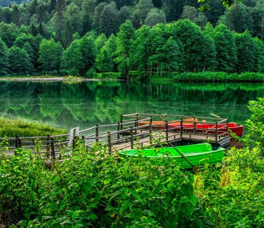 Artvin