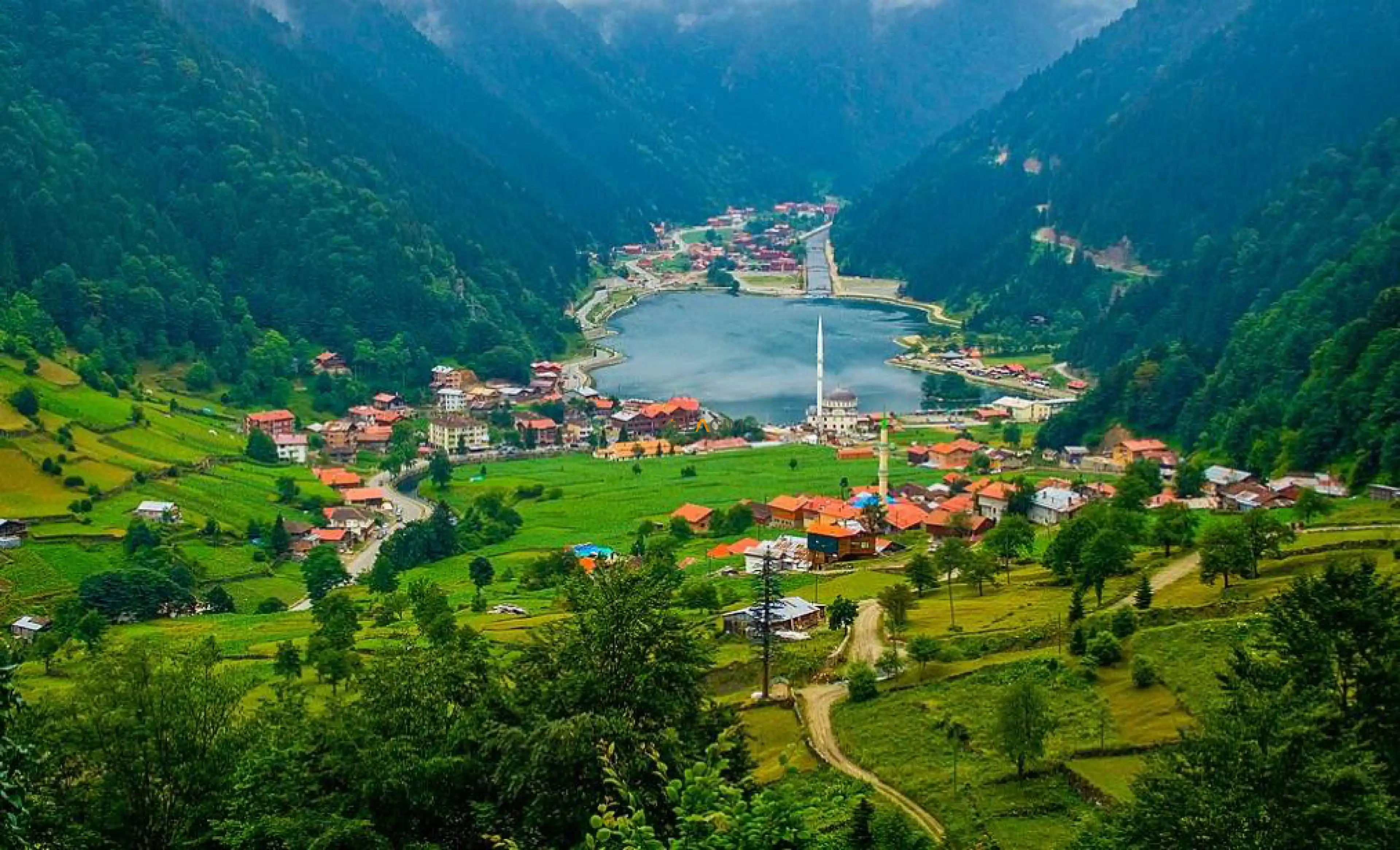 Trabzon